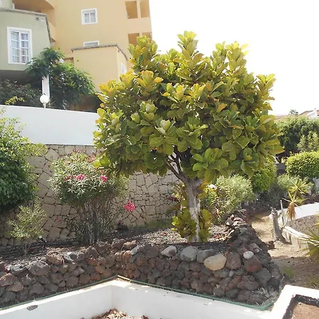 Διαμέρισμα Orlando *